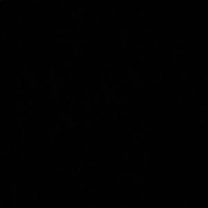 Meet your Posher, Andres